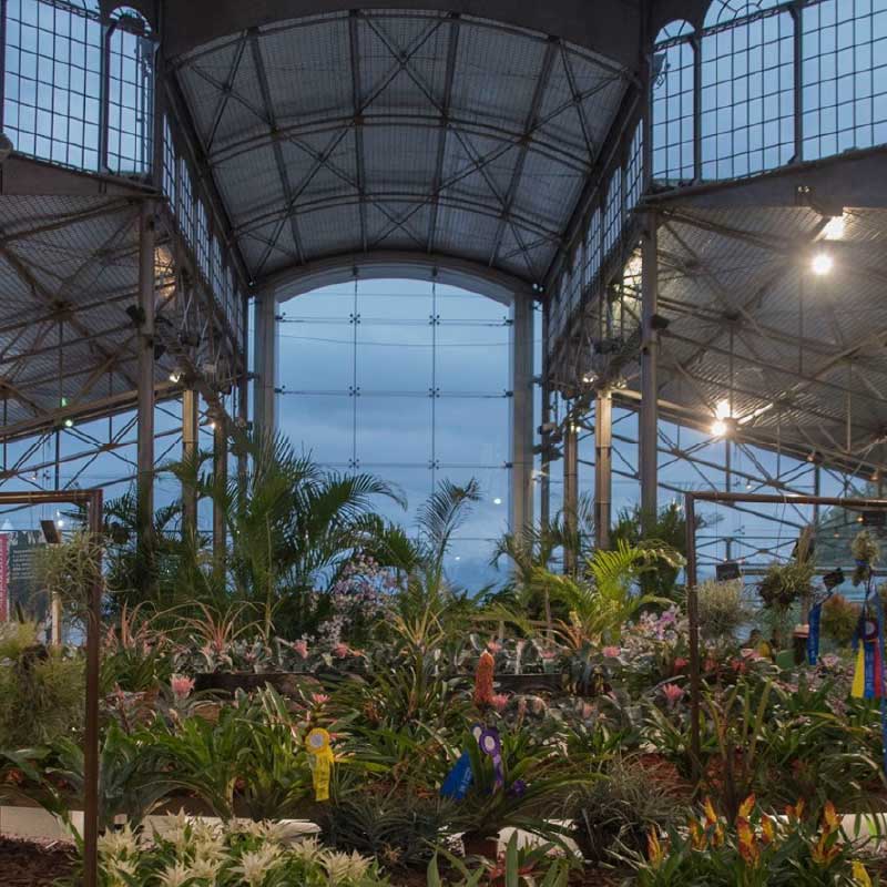 Jardín Botánico de Quito - Galería 2