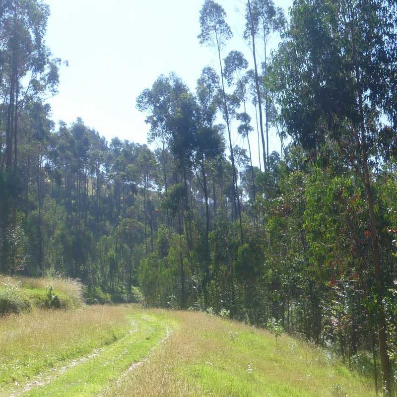 Parque Chilibulo - Galería 2