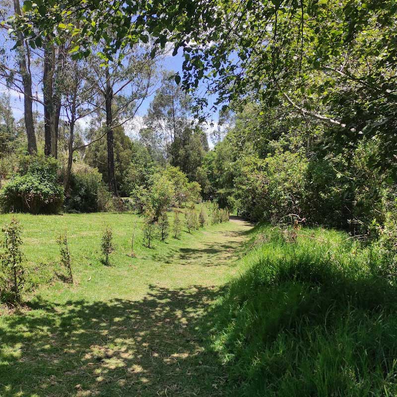 Parque Metropolitano del Sur - Galería 1